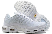 Nike Air Max TN 8909-304